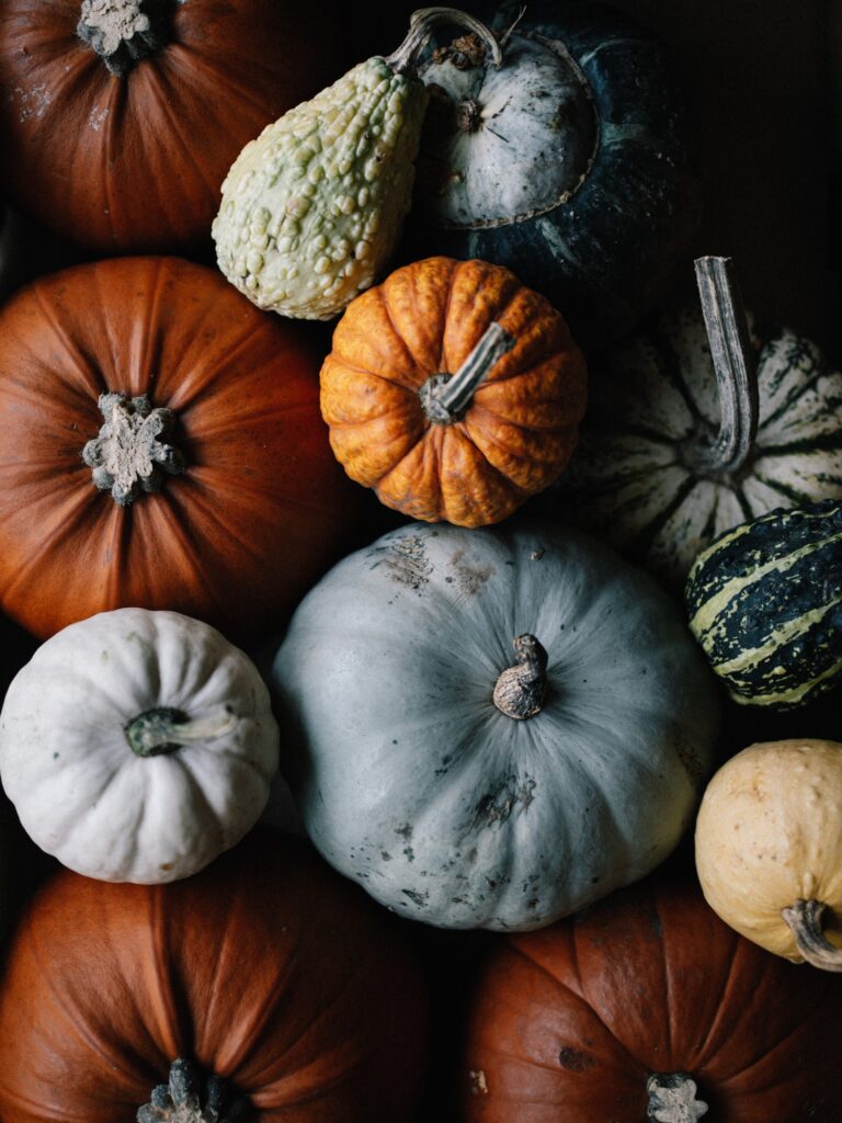 how-to-cook-pumpkin-seeds-1